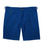 blue tobacco pinstripe swim shorts
